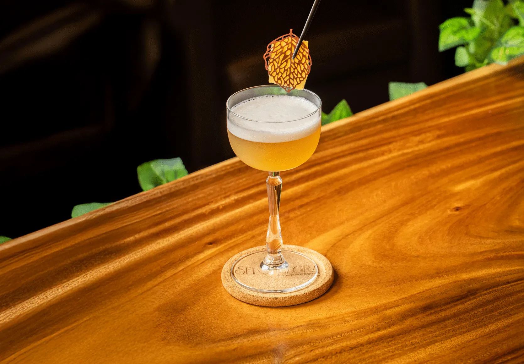 Selva Negra Cocktail and Wine Bar